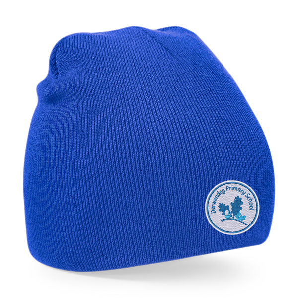 Derwendeg Primary Beanie