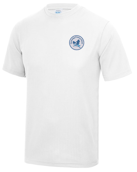 Derwendeg Primary PE T Shirt