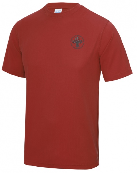 Fleur De Lys Primary PE T Shirt