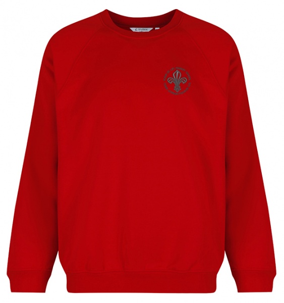 Fleur De Lys Primary Sweatshirt