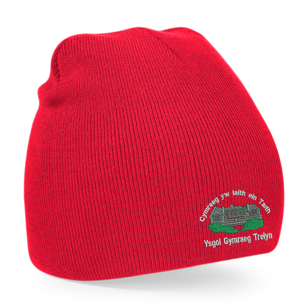 YG Trelyn Beanie