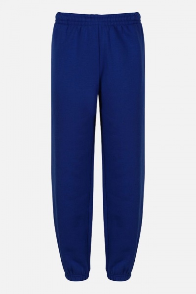 Hendredenny Park Primary Jog Pant