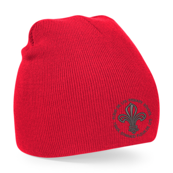 Fleur De Lys Primary Beanie