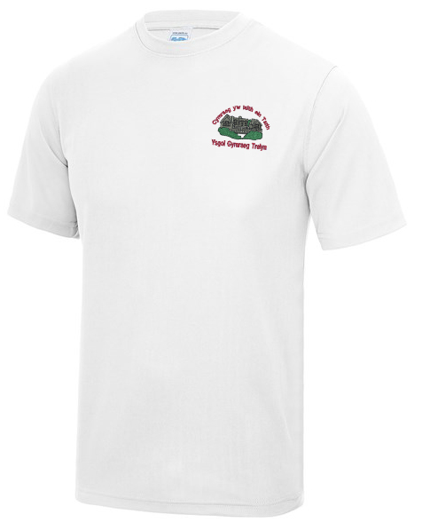 Ysgol Bro Sannan PE T Shirt